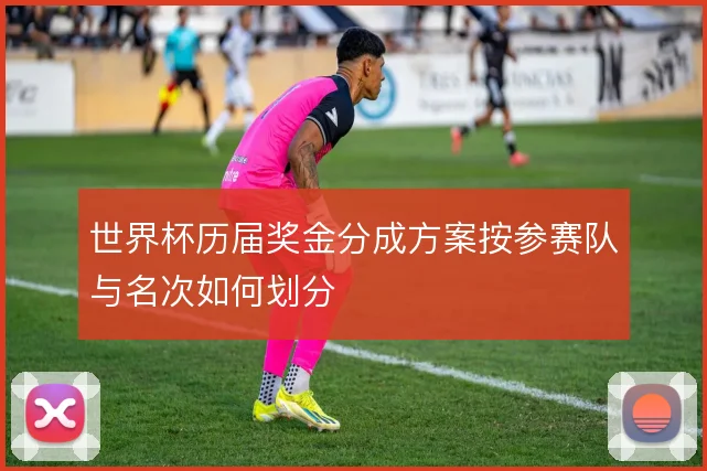 世界杯历届奖金分成方案按参赛队与名次如何划分